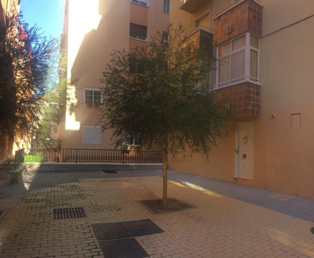 Casa de hóspedes Flamenco Camaron 2*